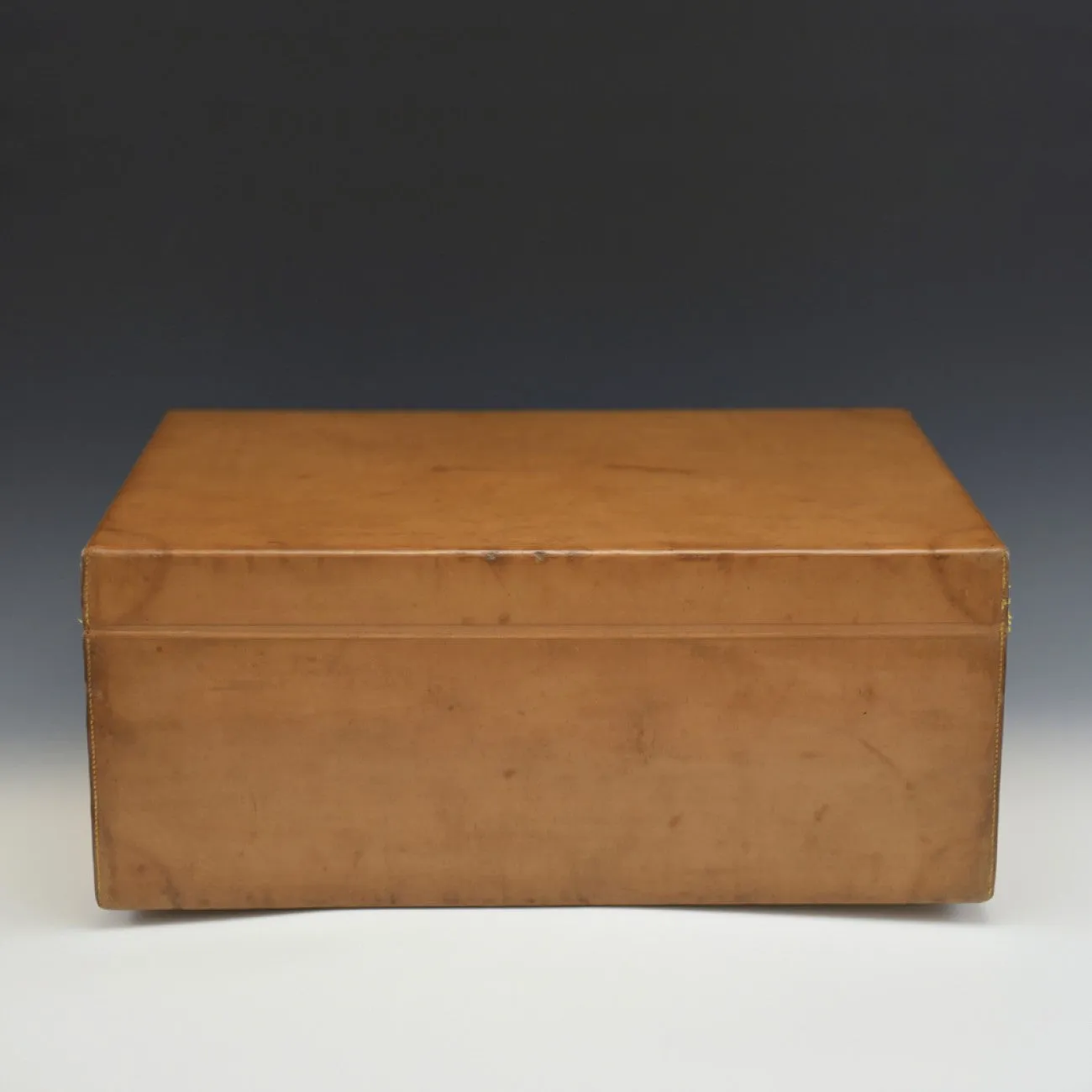 Louis Vuitton Tan Leather Case